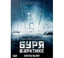 Буря в Арктике (2010)