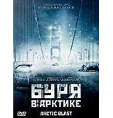 Буря в Арктике (2010)