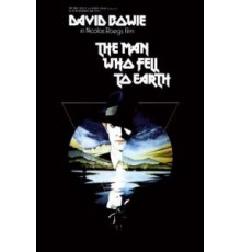Человек, который упал на Землю (1976)