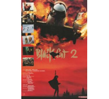 Черная кошка 2 (1992)
