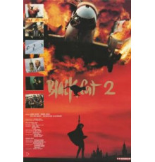 Черная кошка 2 (1992)