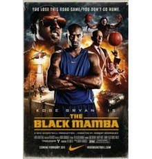 Черная мамба (2011)