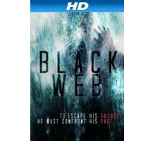 Чёрная паутина (2012)