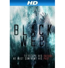 Чёрная паутина (2012)