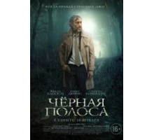 Черная полоса (2017)
