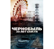 Чернобыль: 30 лет спустя (2015)