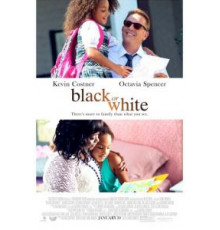 Чёрное или белое (2014)