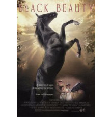 Черный красавец (1994)