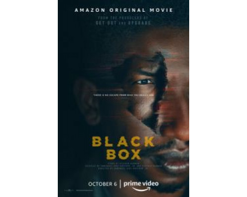 Чёрный ящик  (фильм 2020) смотреть онлайн