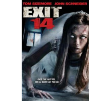 Четырнадцатый выезд (2016)