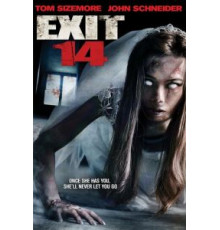 Четырнадцатый выезд (2016)