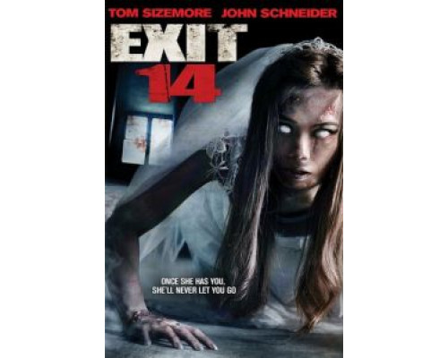 Четырнадцатый выезд  (фильм 2016) смотреть онлайн