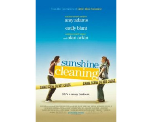Чистка до блеска  (фильм 2008) смотреть онлайн