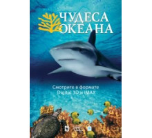 Чудеса океана 3D (2003)