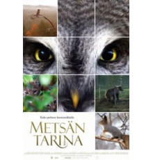 Чудесный лес (2012)