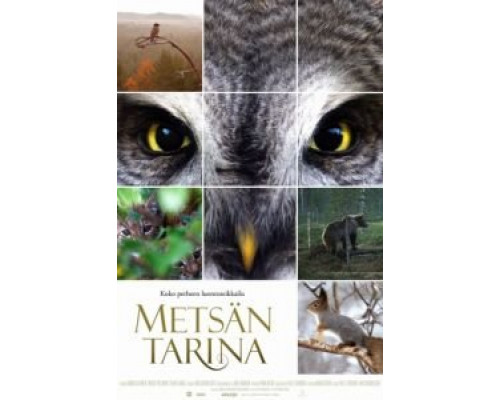 Чудесный лес  (фильм 2012) смотреть онлайн