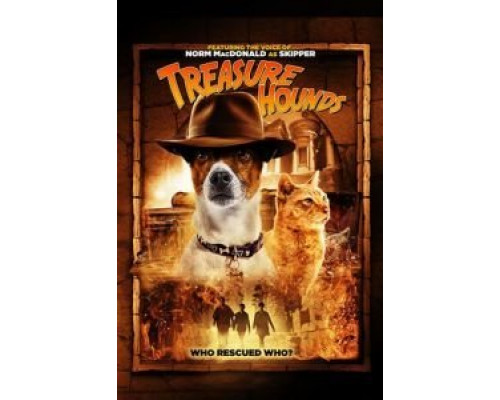 Дедушкины сокровища  (фильм 2017) смотреть онлайн