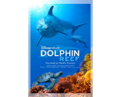Дельфиний риф  (фильм 2020) смотреть онлайн
