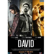 Дэвид (2013)