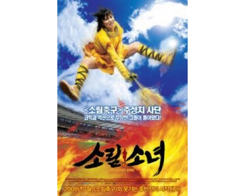Девушка из Шаолиня  (фильм 2008) смотреть онлайн