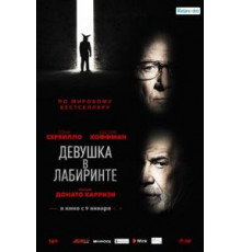 Девушка в лабиринте (2019)
