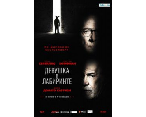 Девушка в лабиринте  (фильм 2019) смотреть онлайн