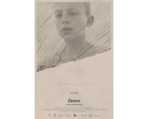 Дикарь  (фильм 2018) смотреть онлайн