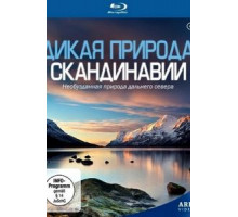 Дикая Америка (1997)