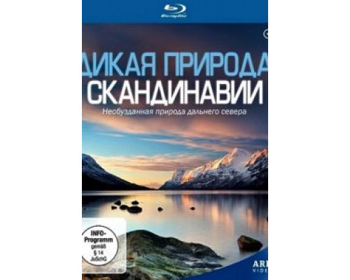 Дикая Америка  (фильм 1997) смотреть онлайн