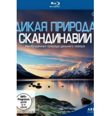 Дикая Карнатака (2020)