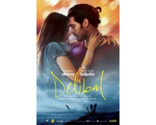 Дикий мёд  (фильм 2015) смотреть онлайн