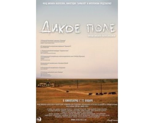 Дикое поле  (фильм 2008) смотреть онлайн