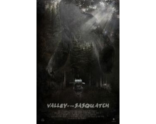 Долина снежного человека  (фильм 2015) смотреть онлайн