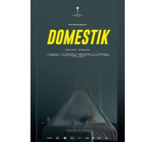 Домашний режим (2018)