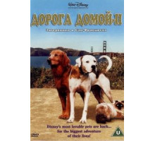 Дорога домой 2: Затерянные в Сан-Франциско (1996)