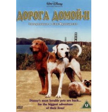 Дорога домой 2: Затерянные в Сан-Франциско (1996)