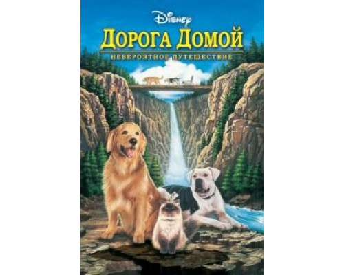 Дорога домой: Невероятное путешествие  (фильм 1993) смотреть онлайн