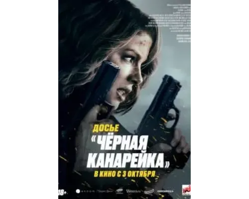 Досье «Чёрная канарейка»  (фильм 2024) смотреть онлайн