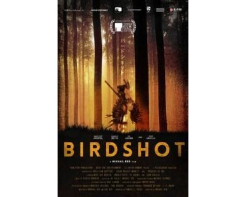 Дробь  (фильм 2016) смотреть онлайн