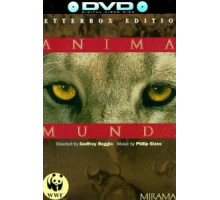 Душа мира (1991)