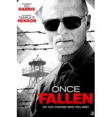 Единожды падший (2010)