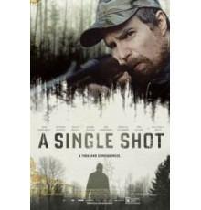 Единственный выстрел (2013)