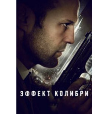 Эффект колибри (2012)