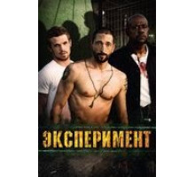 Эксперимент (2010)