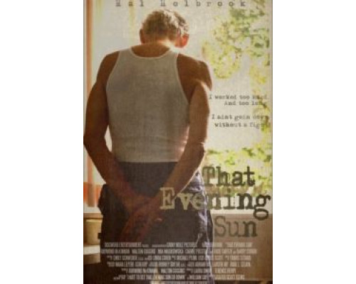 Это вечернее солнце  (фильм 2009) смотреть онлайн