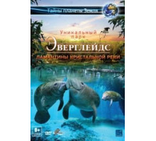 Эверглейдс 3D: Ламантины Кристальной реки (2012)