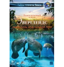 Эверглейдс 3D: Ламантины Кристальной реки (2012)