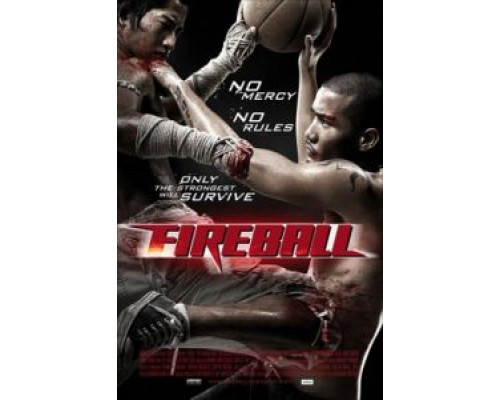 Файрбол  (фильм 2009) смотреть онлайн