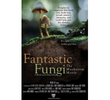 Фантастические грибы (2019)