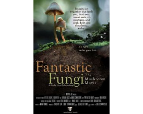 Фантастические грибы  (фильм 2019) смотреть онлайн